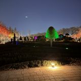 Кубань, фото отдыхающего в ноябре