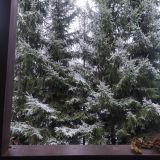 Парк Отель, фото гостя