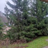 Парк Отель, фото гостя