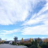 Отель Лагуна, фото гостя