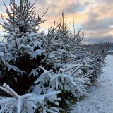 База отдыха Хутор Белой Козы, фото гостя