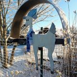 База отдыха Хутор Белой Козы, фото гостя