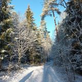 База отдыха Хутор Белой Козы, фото гостя