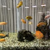 Гостиница Салют, фото гостя