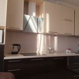 Апартаменты Атмосфера на Механошина, фото гостя