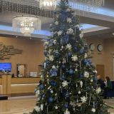 Отель Москва, фото гостя