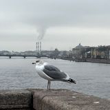 Ленинградская область, фото отдыхающего в ноябре