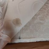 Гостиница Саратов, фото гостя