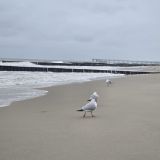 Отель Золотая Миля, фото гостя