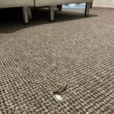 Ахоум-отель на Окружной, фото гостя