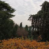 Санаторий Кирова, фото гостя