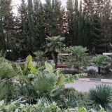 Санаторий Кирова, фото гостя