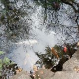 Санаторий Кирова, фото гостя