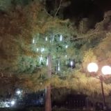 Санаторий Кирова, фото гостя