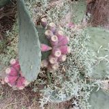 Санаторий Кирова, фото гостя