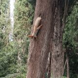 Санаторий Кирова, фото гостя