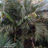 Санаторий Кирова, фото гостя