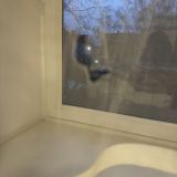 Апарт-отель Центр, фото гостя