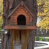 Пансионат Кавказ, фото гостя