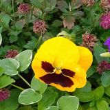 Пансионат Кавказ, фото гостя