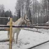 Гостиница Мандроги, фото гостя