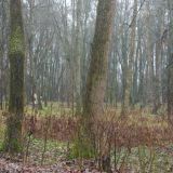 Парк-Отель Ершово, фото гостя