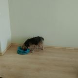 Гостиница Уссурийск, фото гостя