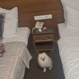 Гостиница Славянская, фото гостя