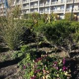 Гостиница Ribera Resort&SPA, фото гостя