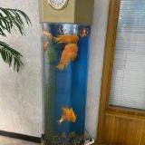 Гостиница Татарстан, фото гостя