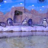 Кубань, фото отдыхающего в ноябре