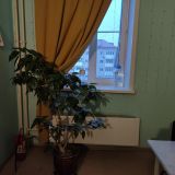 Хостел Vega, фото гостя