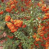 Рядом с гостиницей