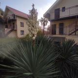 Сочи, фото отдыхающего в ноябре