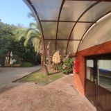 Сочи, фото отдыхающего в ноябре