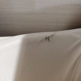 Отель 365 SPB, фото гостя