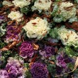 Ялта, фото отдыхающего в ноябре