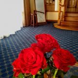 Курортный отель Бриз, фото гостя