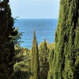 Пансионат Изумруд, фото гостя