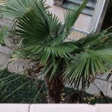 Пансионат Изумруд, фото гостя