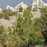 Пансионат Изумруд, фото гостя