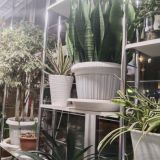 Капсульный отель Венеция в сердце моём, фото гостя