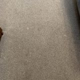 Грязный ковер (первый номер)