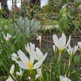 Кубань, фото отдыхающего в сентябре