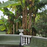 Кубань, фото отдыхающего в сентябре