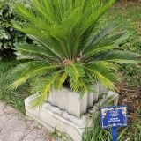 Кубань, фото отдыхающего в сентябре