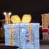 Центральная Россия, фото отдыхающего в ноябре