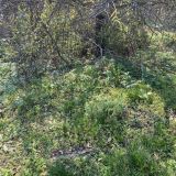 Гостевой дом Цветник Пятигорья, фото гостя