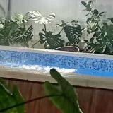 База отдыха Предгорье, фото гостя