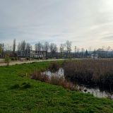 База отдыха Предгорье, фото гостя